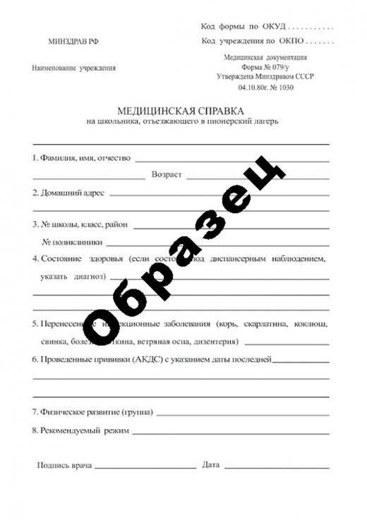 Получить справку в пионерский лагерь в Нижнем Новгороде Справка в пионерский лагерь в Нижнем Новгороде